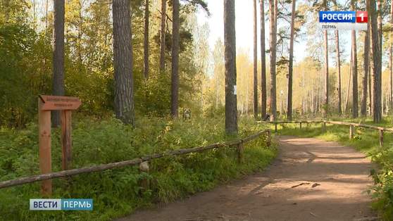 Пермские лесничества приглашают жителей в гости