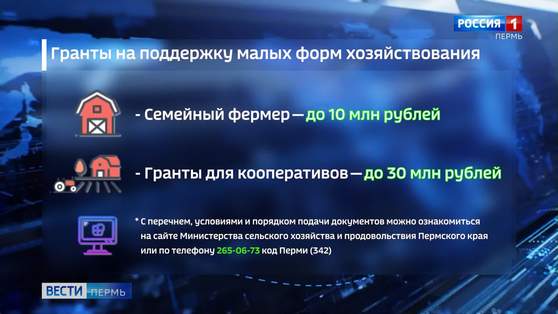 До 16 сентября фермеры края могут подать документы на получение грантов 