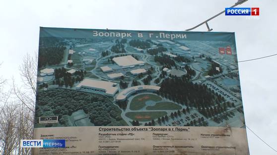 Куратор строительства зоопарка Илья Козырев может выйти под залог в 50 млн рублей