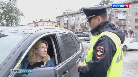В Перми отметили День ГИБДД