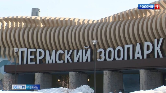 В Пермском зоопарке сегодня пройдет День волнистого попугая