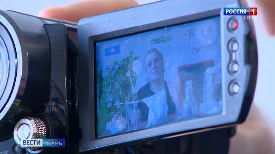 Карантин расширяет возможности культуры в Сети