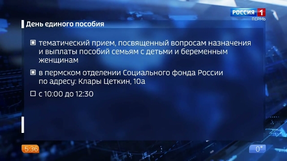 Отделение СФР по Пермскому краю проведет День единого пособия