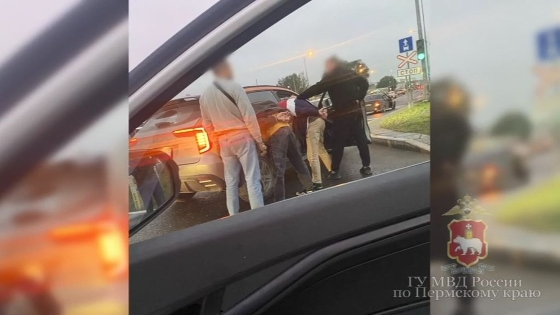 В Перми полицейские предотвратили сбыт порядка 6 килограммов наркотиков 