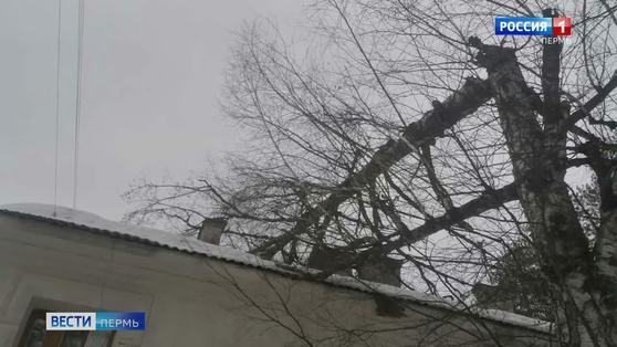 В Кировском районе Перми крышу аварийного дома повредило упавшее дерево