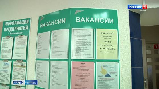 Работодатели Прикамья все чаще предлагают вакансии для соискателей без опыта