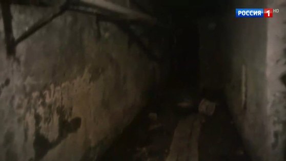 После программы Андрея Малахова о "самом страшном доме России" в Березниках, следователи начали проверку