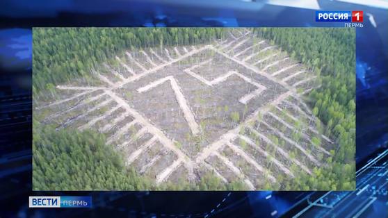 В Кочевском районе высадили геоглиф из 3500 елей