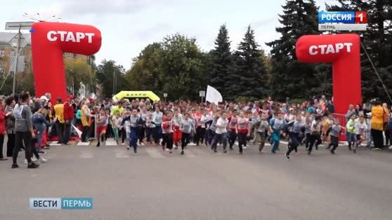Кросс нации: все на старт!