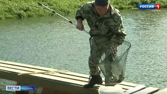 На Камском водохранилище заканчивается период нереста