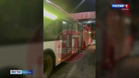 На автобусный маршрут №15 выехали "гармошки"