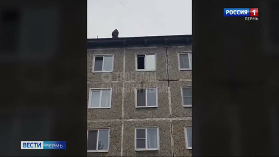 Пермяк пожаловался на ошибку пожарных