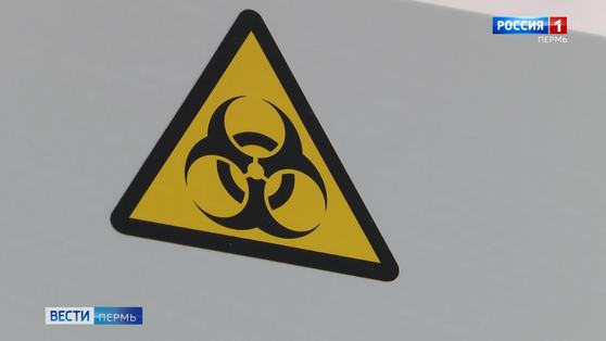 Темпы распространения коронавируса в Пермском крае ниже среднего по России