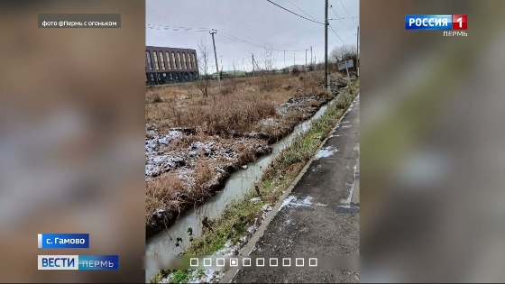 Жители Гамово жалуются на поток нечистот