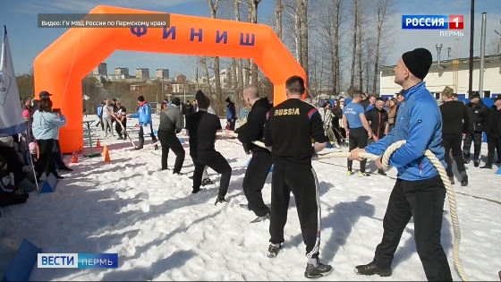В Перми состоялся фестиваль спорта «Всей семьёй на старт»