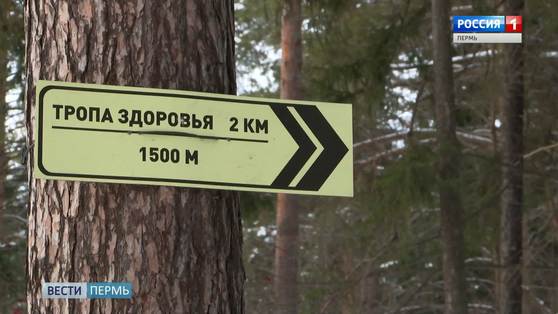 В Черняевском лесу пройдет экологический забег для школьников