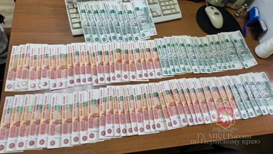 В Прикамье задержаны участники преступной группы мошенников