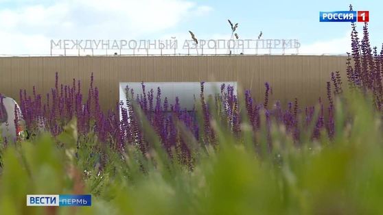 До конца октября продлены летные программы перевозчиков в Армению и Азербайджан