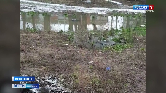 В Краснокамске окрестности новостройки затопила канализация