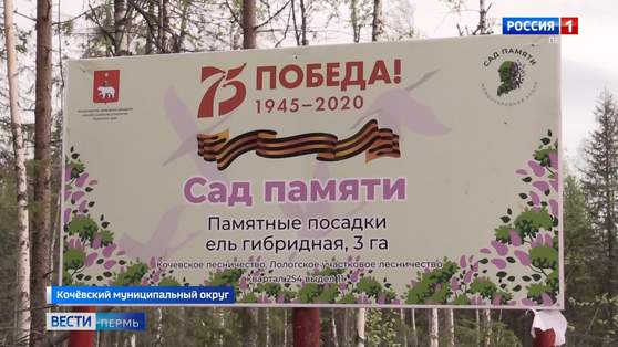  Международная акция «Сад памяти» в Прикамье подходит к финалу