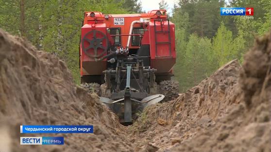 В Пермском крае до 10 сентября установлен особый противопожарный режим