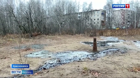 Возле жилого дома в Краснокамске забил нефтяной ручей