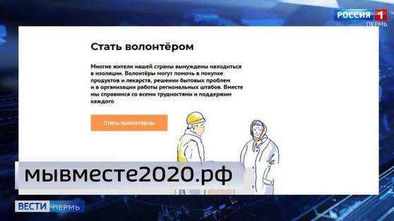 В Прикамье растет количество волонтеров 