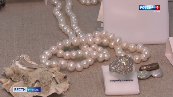 В пермской "Серебронике" состоялась творческая лаборатория