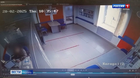 В Прикамье пресекли деятельность хакера