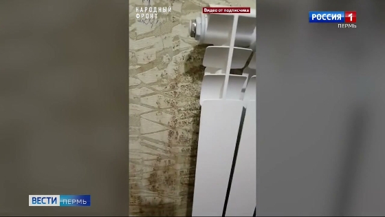 По факту нарушения прав сироты возбуждено уголовное дело