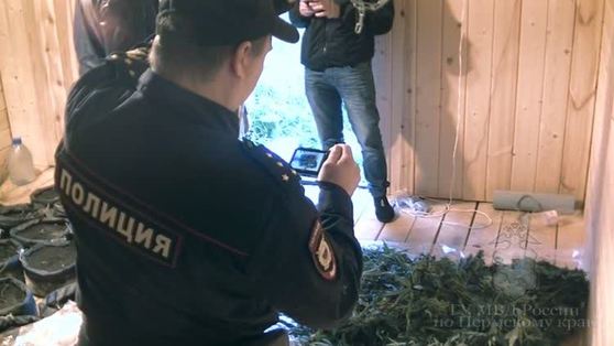 В Перми вынесли приговор гроверу, который мечтал попасть за границу