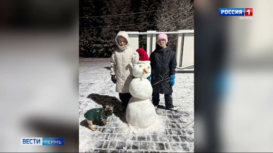 Жители Прикамья делятся фотографиями первых снеговиков