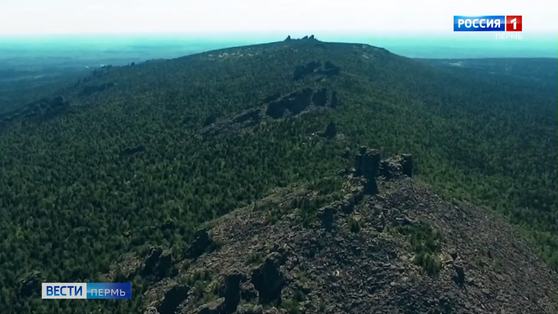 Запрет на посещение лесов отменят 18 июля