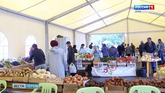 В Перми открылись универсальные ярмарки