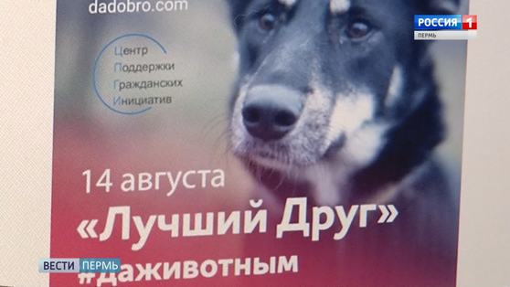 В Перми стартовала акция «Лучший друг»