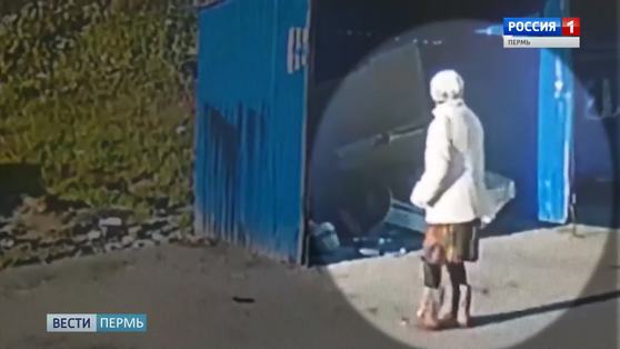 Опасения подтвердились: пропавшую пенсионерку скорее всего загрызли бродячие собаки