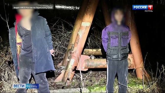 В 2025 году в крае зафиксировано 44 преступления террористической направленности