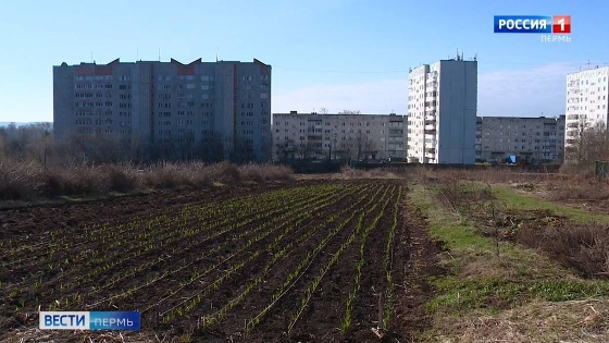 В научно-учебном центре "Липогорье" стартовал огородно-дачный сезон 