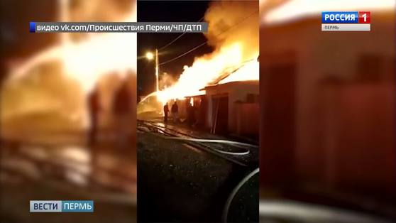 Объявлен сбор средств на лечение спасенных из огня лошадей