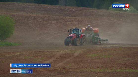 Будем с хлебом: посевная идет круглосуточно