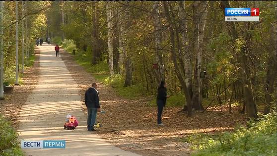 Пермские лесничества проводят День открытых дверей