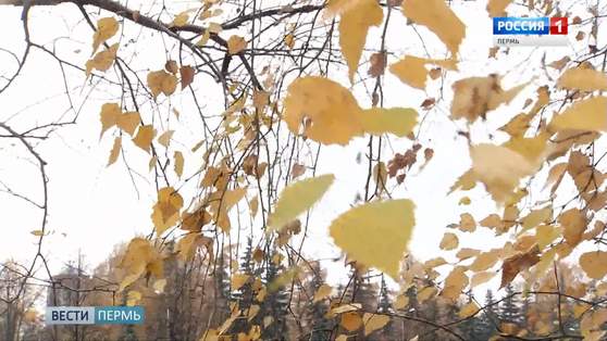 Бабье лето продолжается