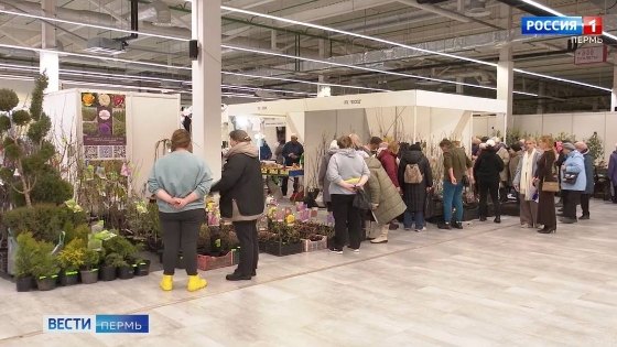 В Перми продолжают работу ярмарки «Регионы России» и «Дача. Сад. Огород»