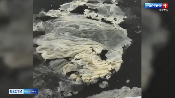 "Ледяное сало?": пермяки обсуждают странные пятна на Каме