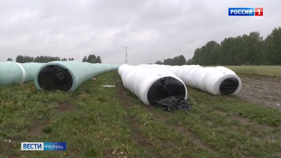 В Кудымкарском районе подвели первые итоги заготовки кормовых