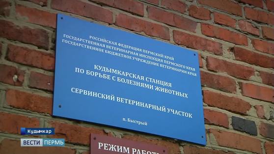 Вероятная причина смерти студента из Кудымкара - мясо диких животных