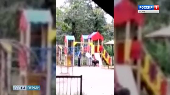 Соцсети взбудоражил обижающий собаку подросток