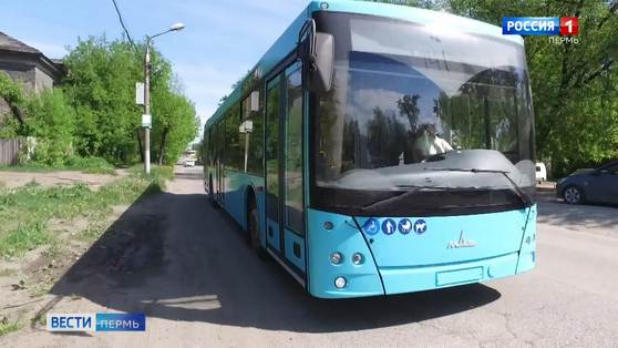1 июня на городские маршруты выйдут 35 новых автобусов