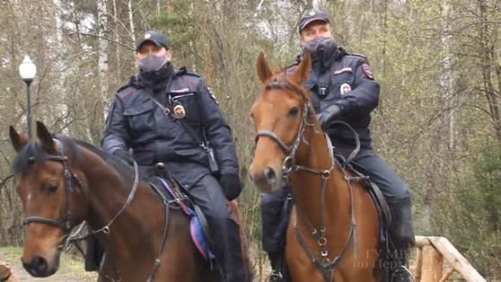 В Перми сотрудники полиции и МЧС проводят совместный рейды