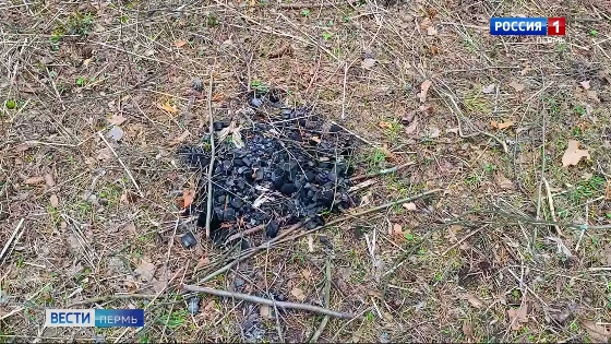 В Прикамье обсудили обеспечение пожарной безопасности региона